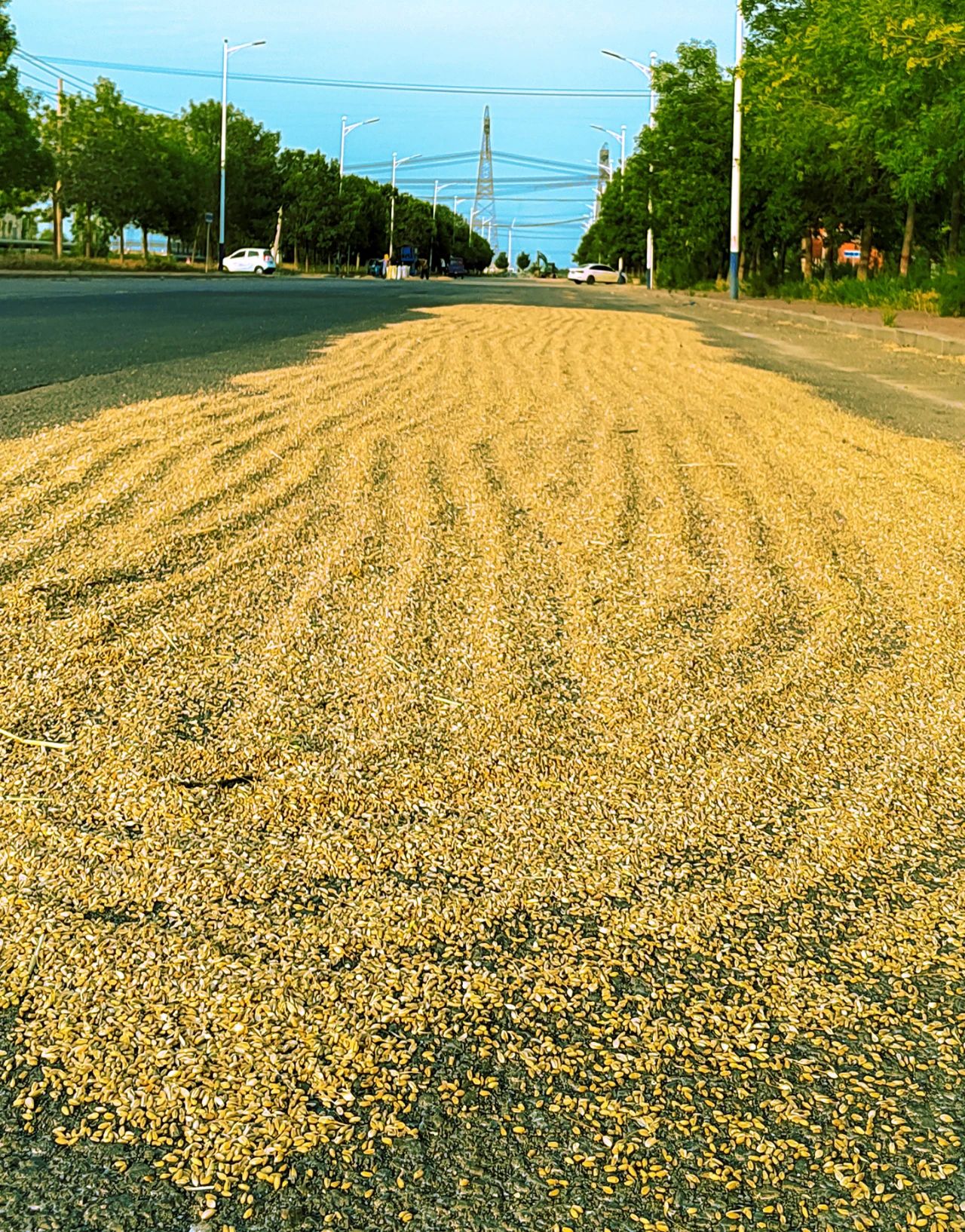 微信图片_20250606101124.jpg
