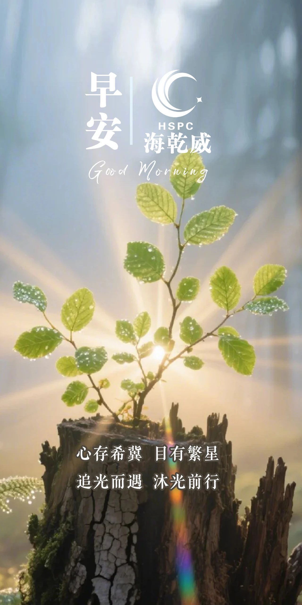 微信图片_20250803083913.jpg