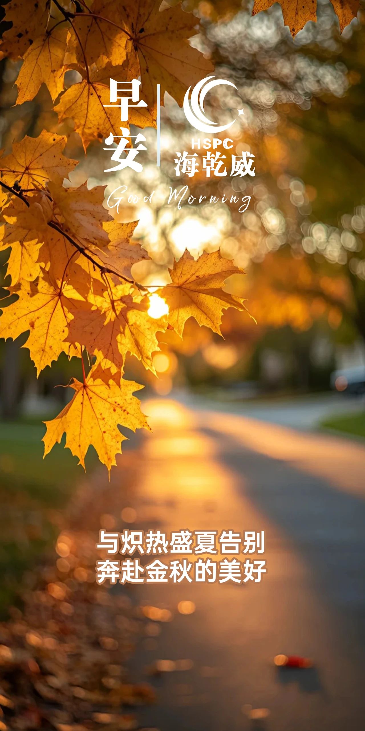 微信图片_20250807091130.jpg