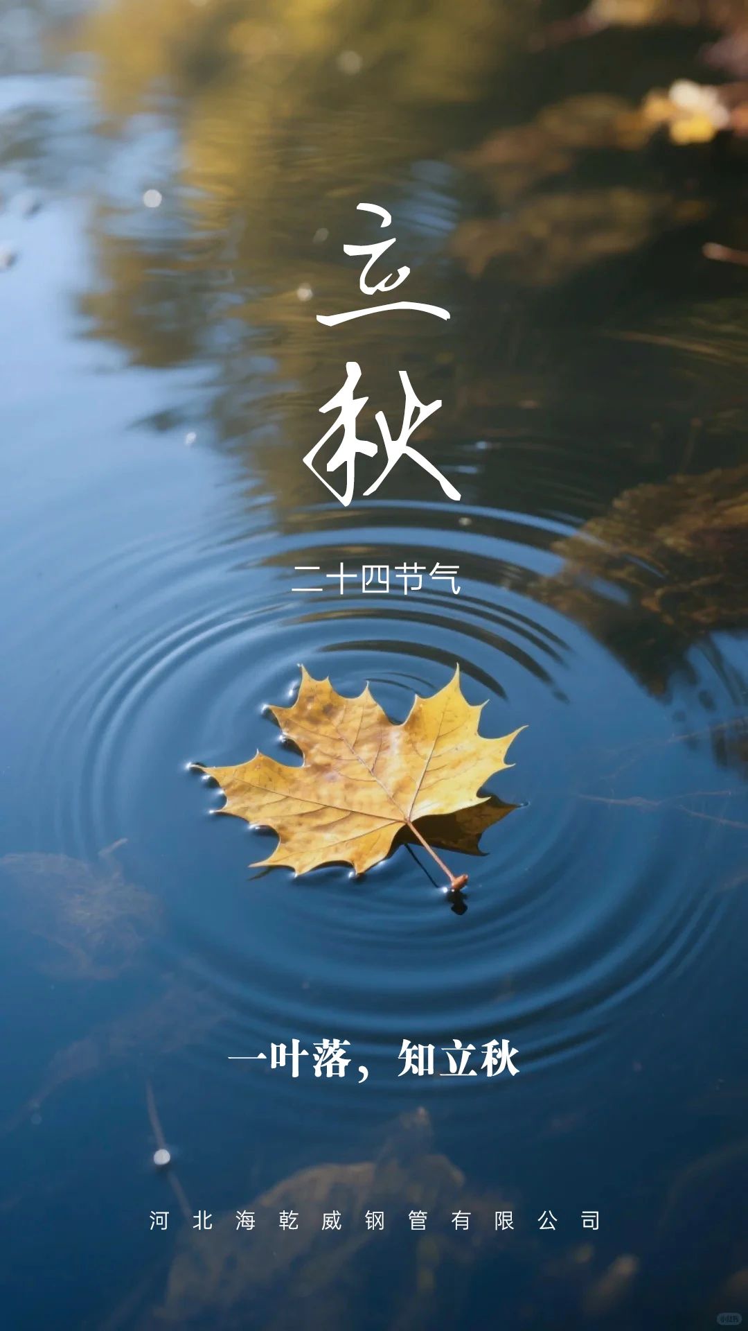 微信图片_20250808083026.jpg