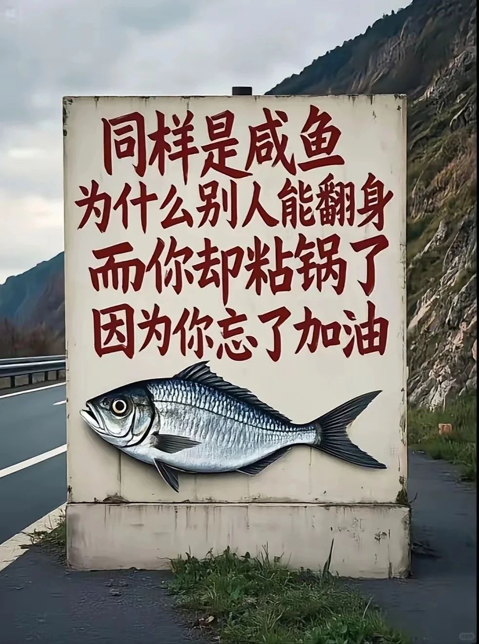 微信图片_2025-08-10_084145_280.jpg