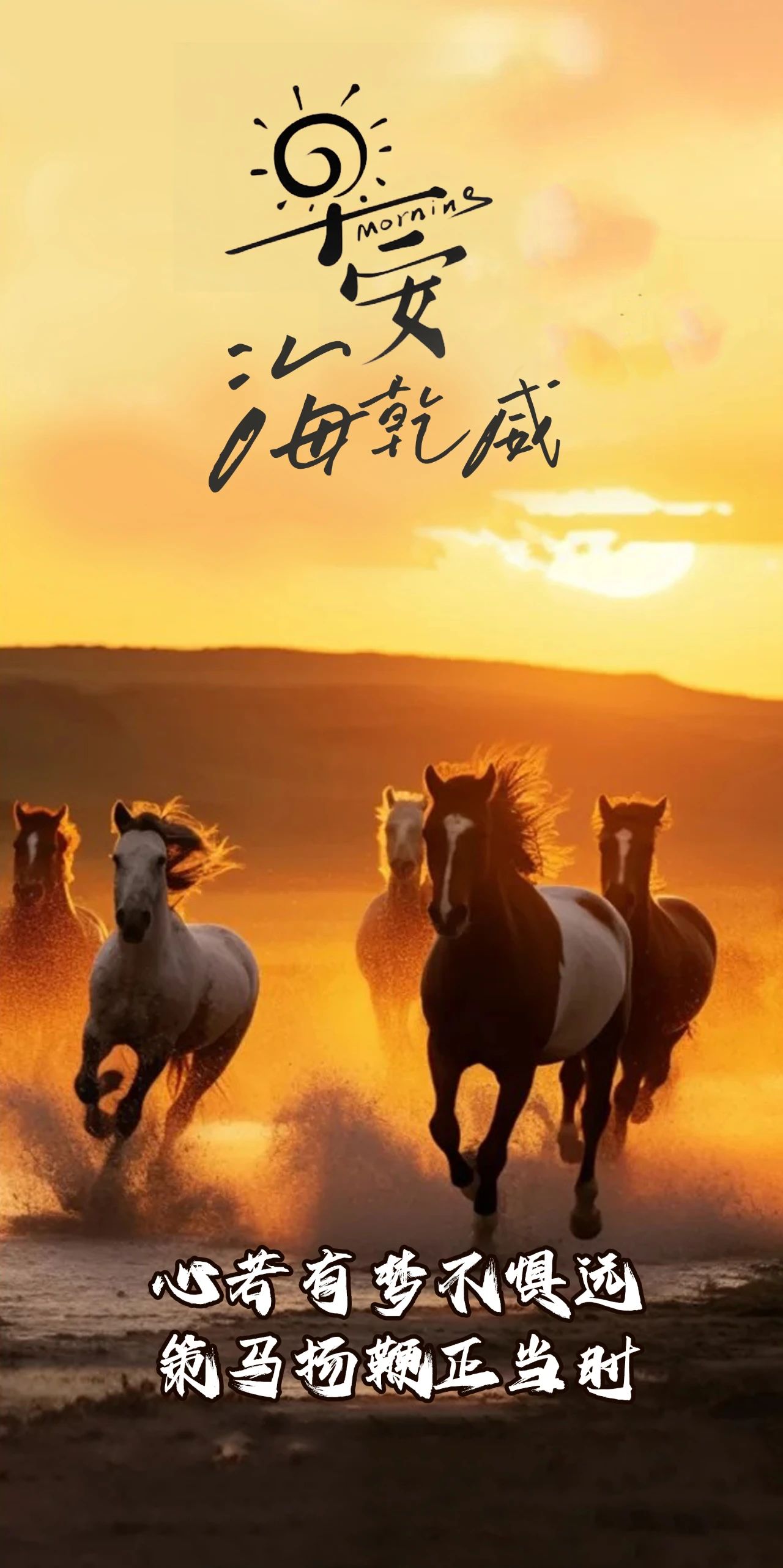 微信图片_2025-08-12_083611_305.jpg
