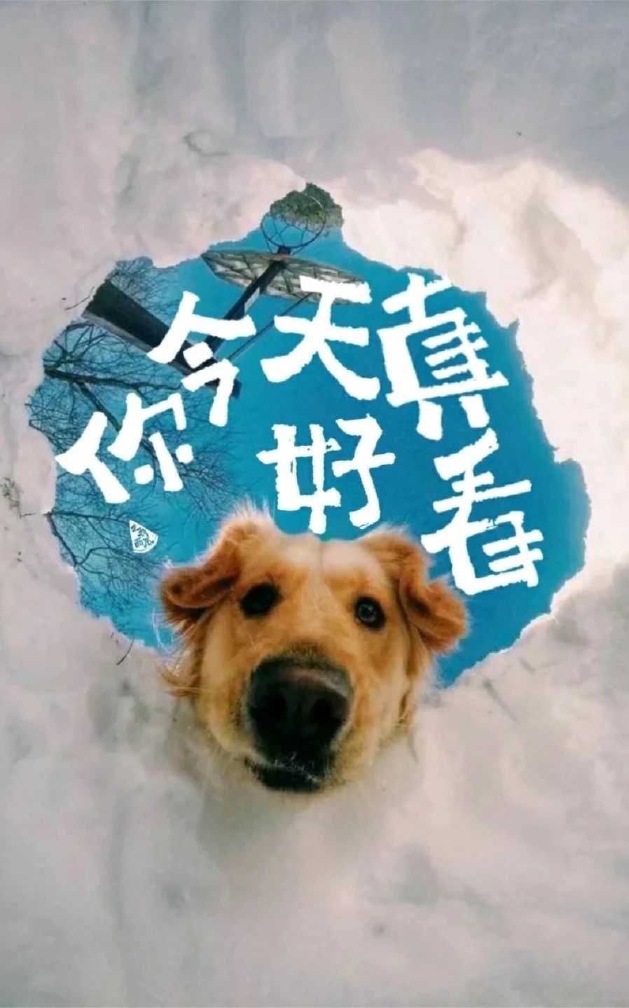 微信图片_2025-08-14_084649_703.jpg