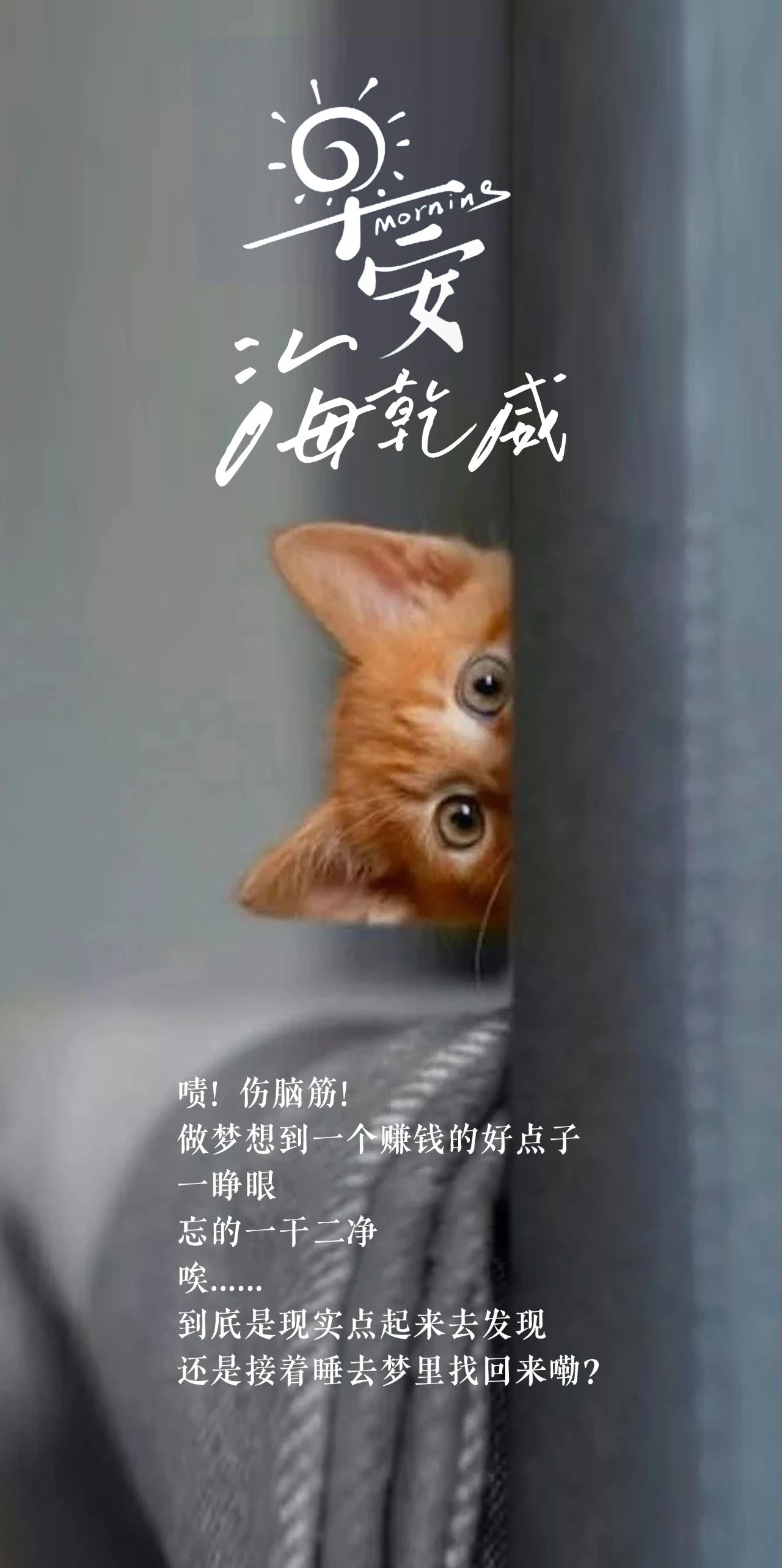 微信图片_2025-08-24_104143_483.jpg