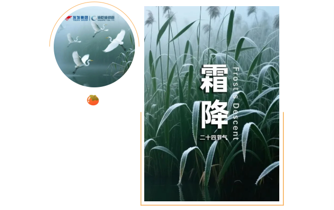 1761180102617192.png image.png