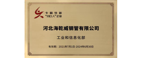 热烈祝贺河北海乾威钢管有限公司荣获工业和信息化部第三批专精特新“小巨人”企业    