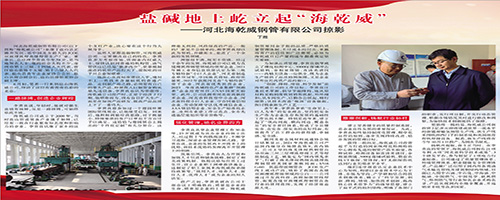 盐碱地上屹立起“海乾威”—河北海乾威钢管有限公司掠影    