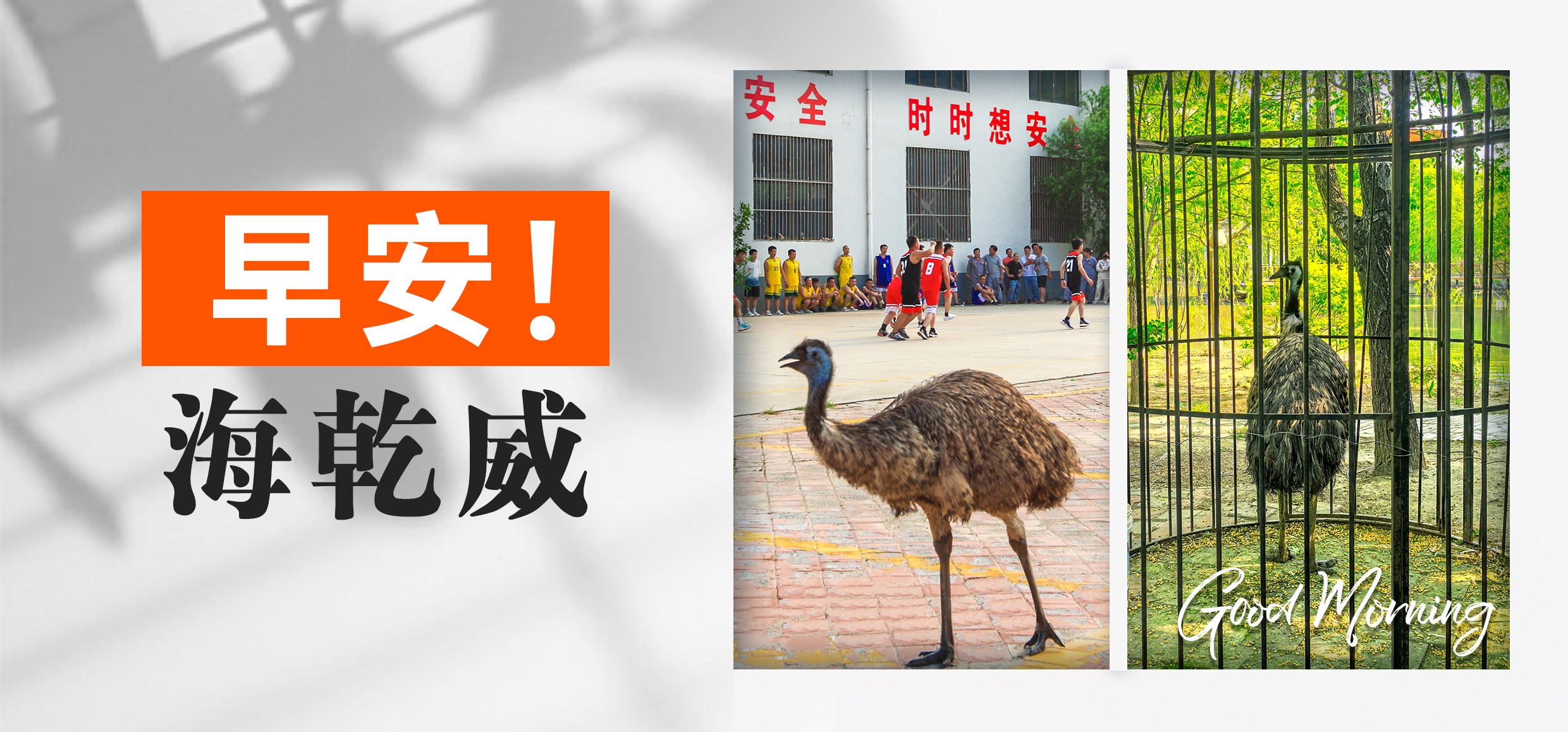早安！海乾威【2025年05月27日】    