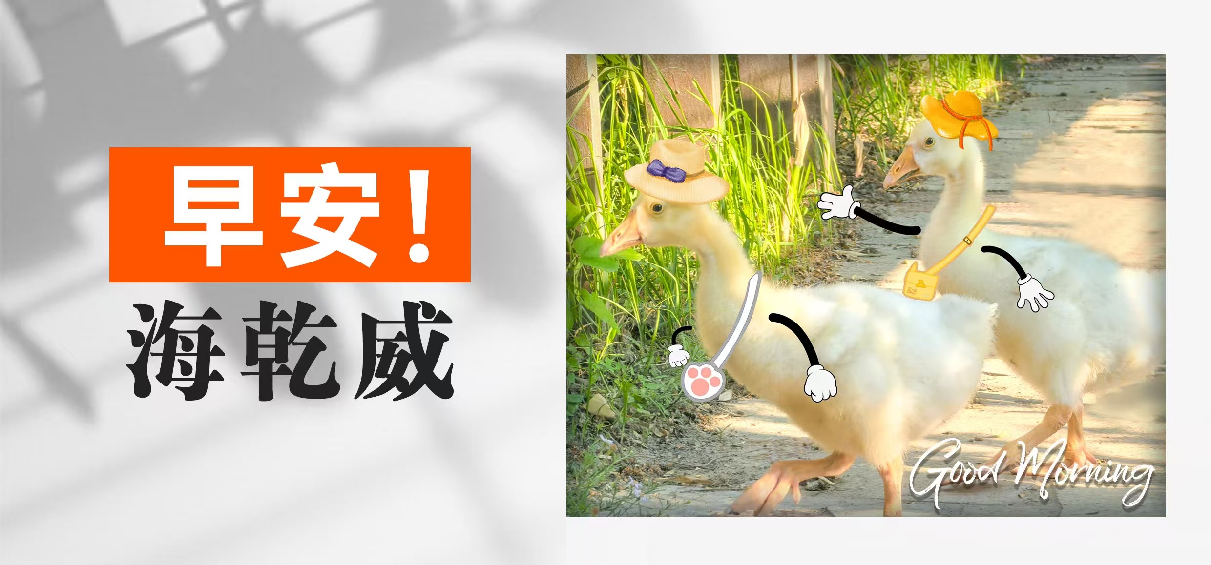 早安！海乾威【2025年05月28日】    