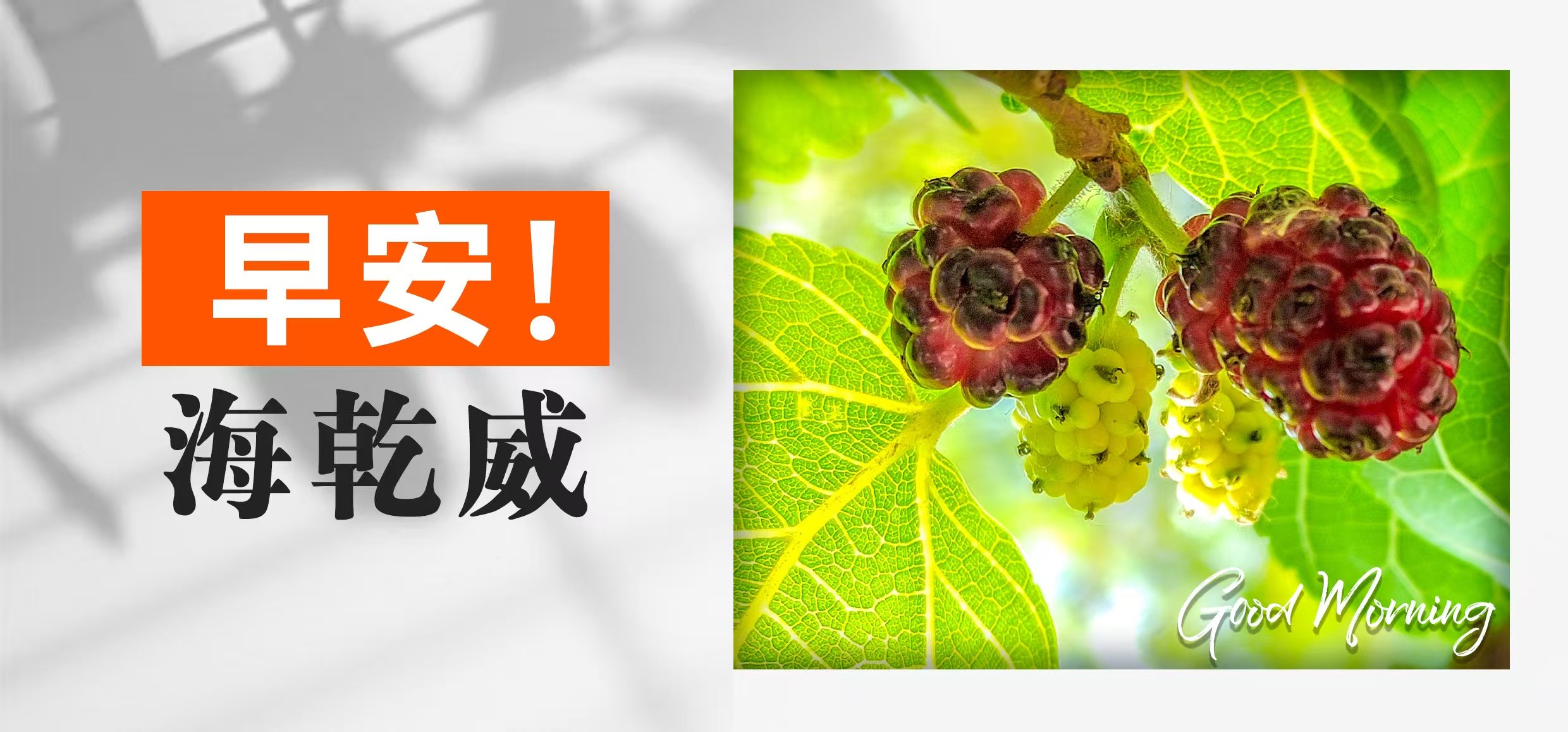 早安！海乾威【2025年05月29日】    