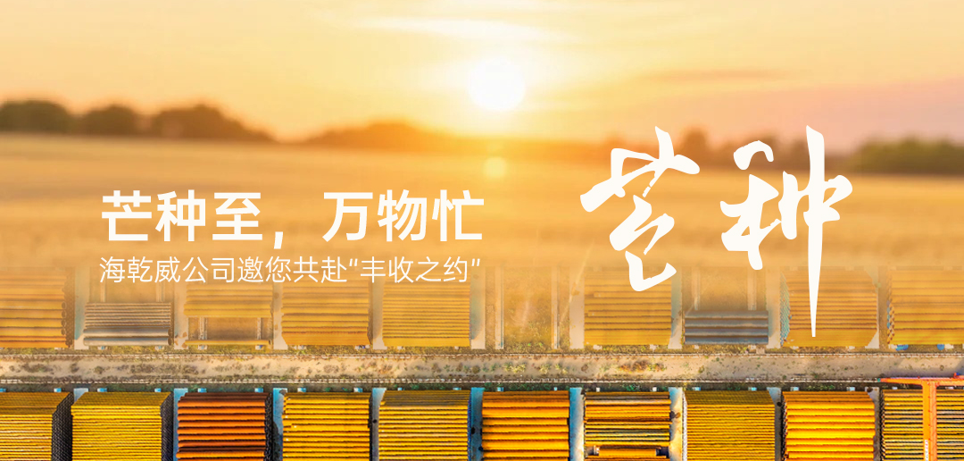 芒种至，万物忙——海乾威公司邀您共赴“丰收之约”    