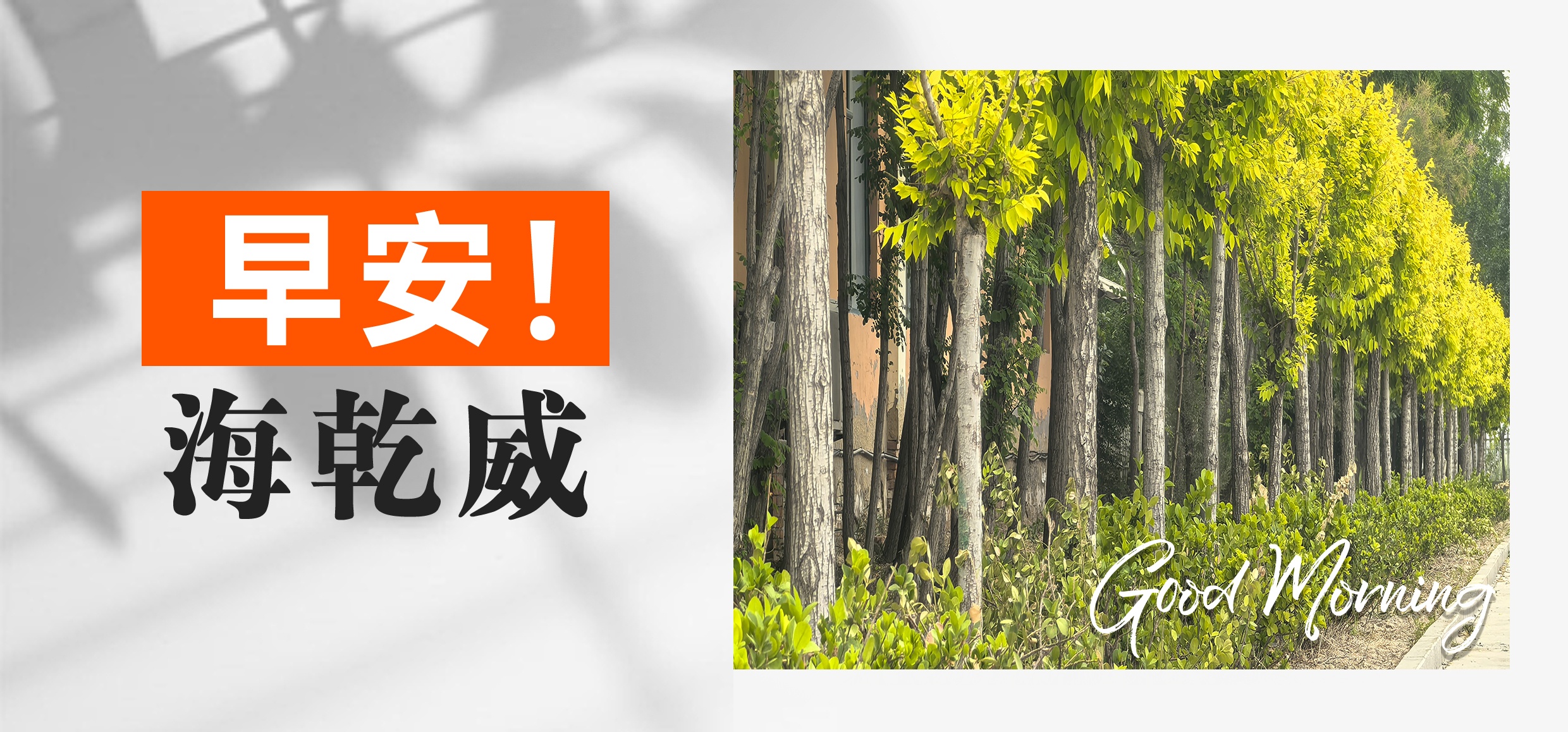 早安！海乾威丨风过林梢，步步皆景【2025年06月09日】    