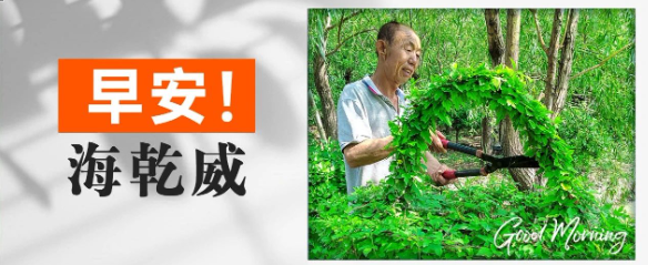 早安！海乾威丨今天你“篮”了吗？【2025年06月22日】    