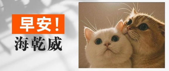 早安！海乾威丨今日中国传统节日“七夕”【2025年8月29日】    