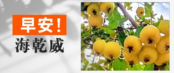 早安！海乾威丨所有绽放的绚烂，终将沉淀为生命的甘甜【2025年9月13日】    