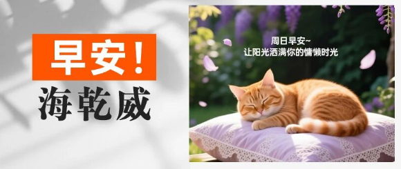 早安！海乾威丨让阳光洒满你的慵懒时光