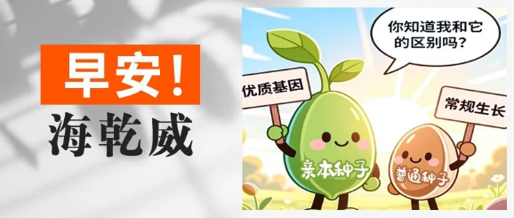 早安！海乾威丨你知道“亲本种子”和“普通种子”的区别吗？【2025年11月4日】    