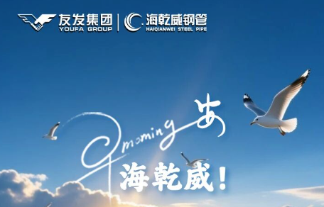 早安！海乾威丨崭新的一天，自由翱翔在生活的海洋！【2025年11月12】    