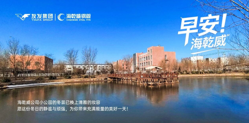 早安！海乾威丨海乾威公司小公园一隅，