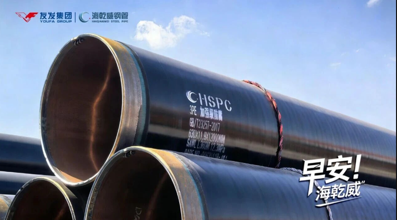 2026/01/08早安海乾威 : 静蕴锋华    