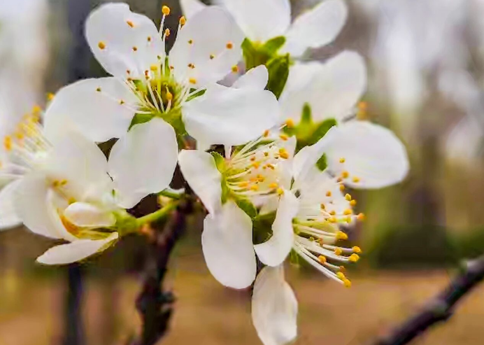 2026/03/30早安海乾威：前方