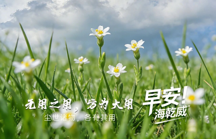 2026/03/31早安海乾威：无用