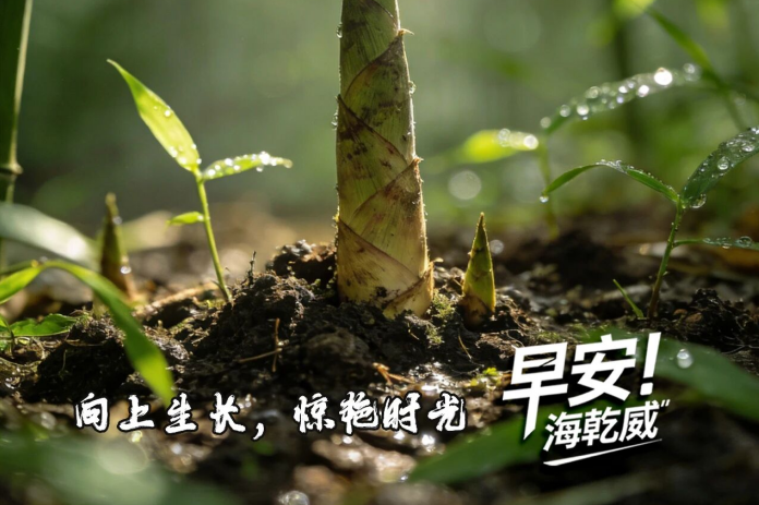 2026/04/07早安海乾威：向上