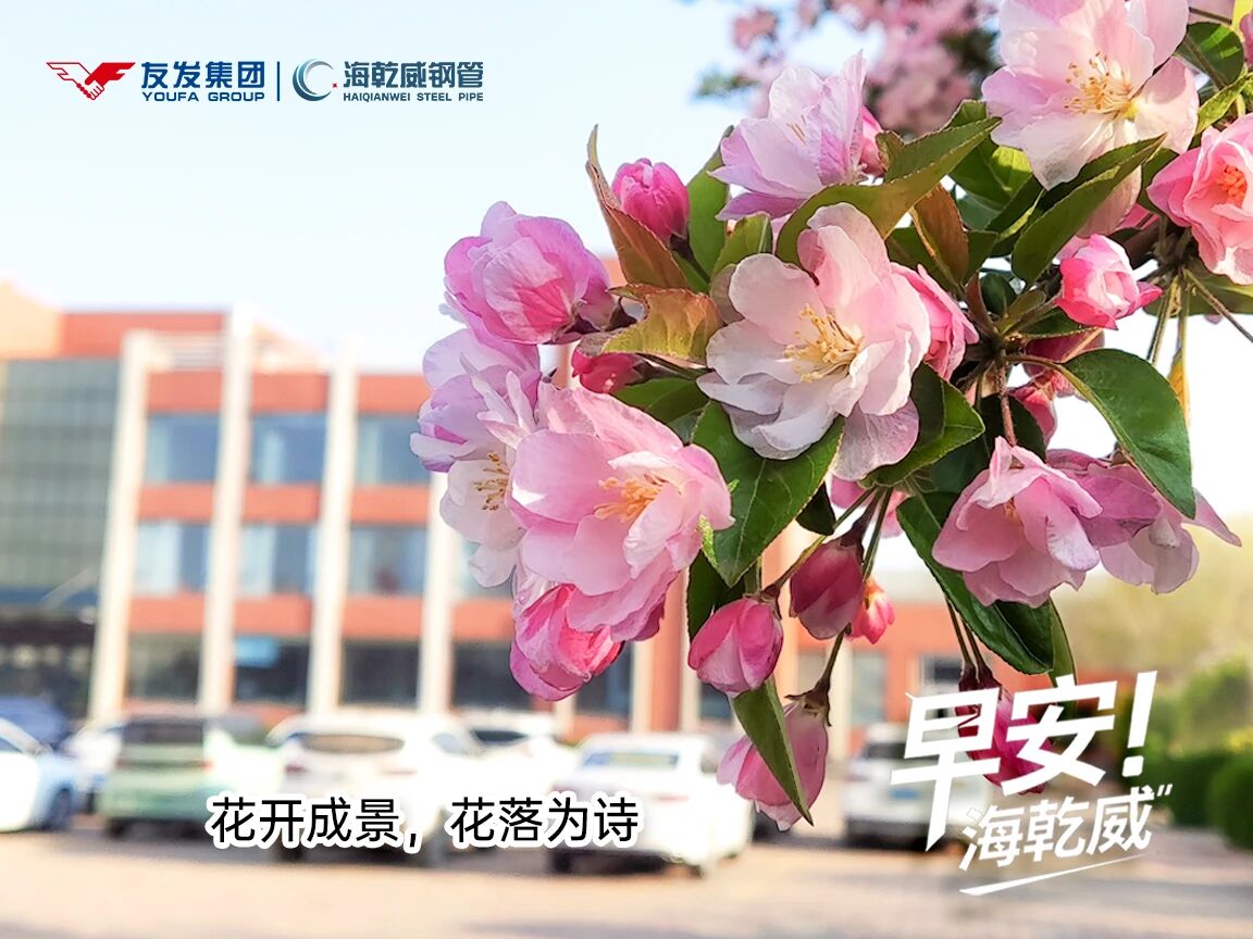 2026/04/11早安海乾威：花开