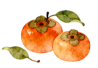 微信图片_2025-10-30_111514_897.png