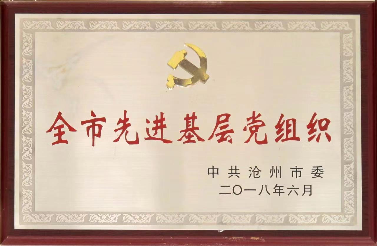 沧州市先进基层党组织