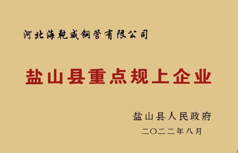 盐山县重点规上企业